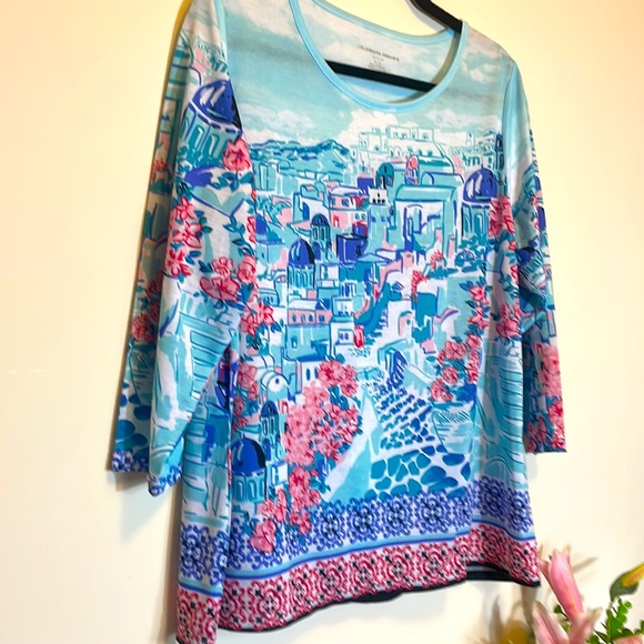 Allison Daley Women’s Shirt, Size: L, Petite, Color’s: different blues, pinks - Picture 2 of 12
